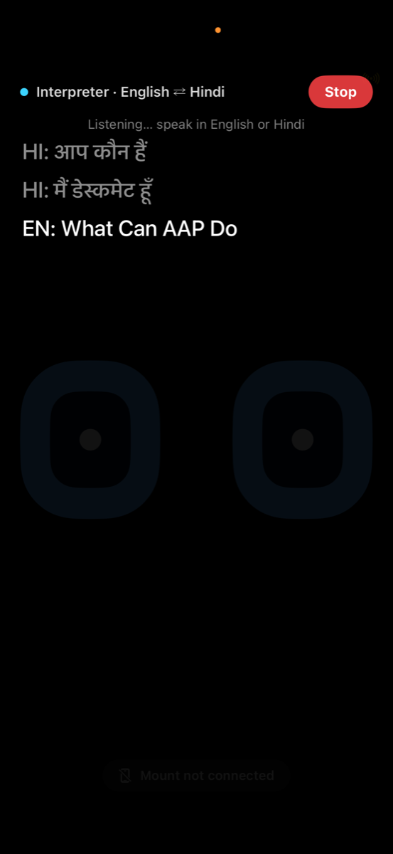 Screenshot: live subtitle / interpreter overlay
